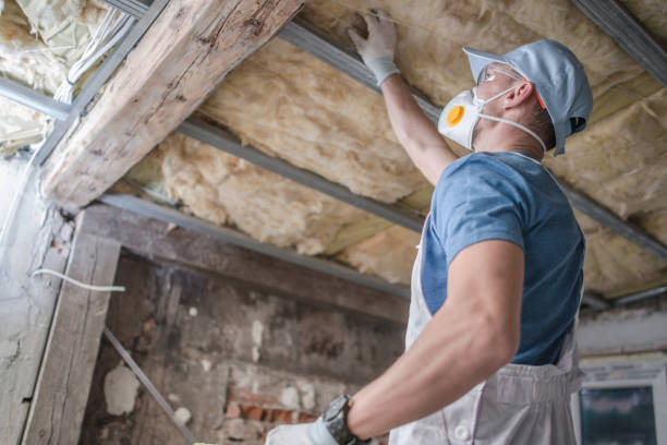 Best Specialized Insulation Services in Cle Elum, WA
